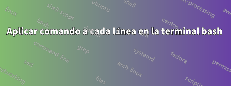 Aplicar comando a cada línea en la terminal bash 