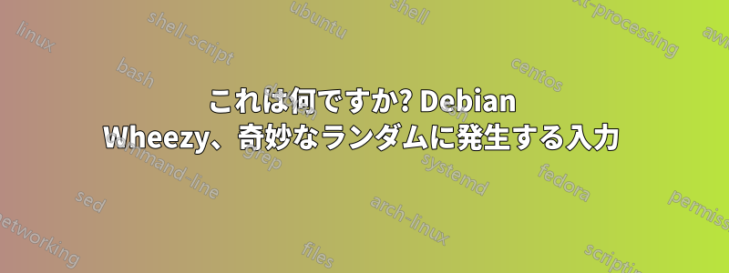 これは何ですか? Debian Wheezy、奇妙なランダムに発生する入力