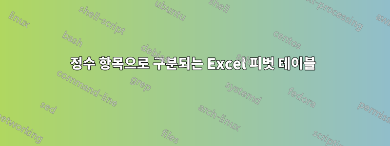 정수 항목으로 구분되는 Excel 피벗 테이블