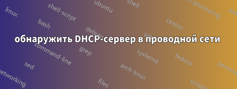 обнаружить DHCP-сервер в проводной сети