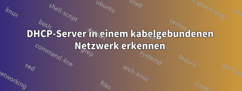DHCP-Server in einem kabelgebundenen Netzwerk erkennen