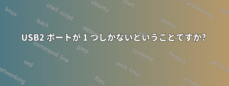USB2 ポートが 1 つしかないということですか?
