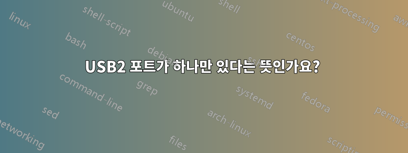 USB2 포트가 하나만 있다는 뜻인가요?
