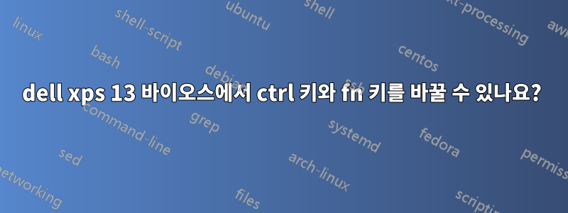 dell xps 13 바이오스에서 ctrl 키와 fn 키를 바꿀 수 있나요?