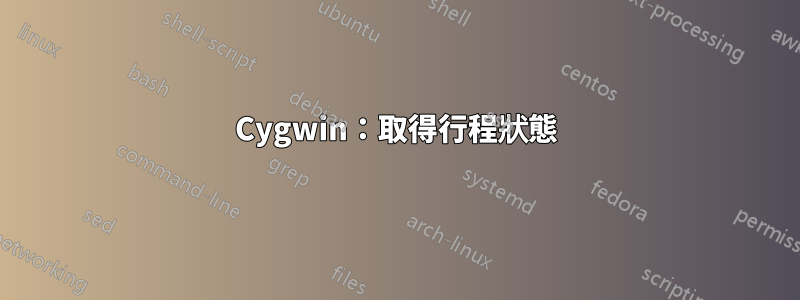 Cygwin：取得行程狀態
