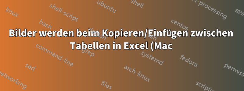 Bilder werden beim Kopieren/Einfügen zwischen Tabellen in Excel (Mac) verzerrt