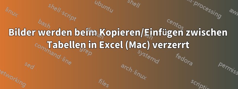 Bilder werden beim Kopieren/Einfügen zwischen Tabellen in Excel (Mac) verzerrt