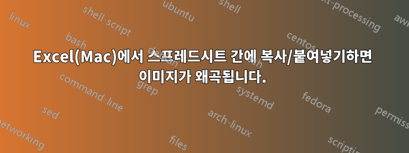 Excel(Mac)에서 스프레드시트 간에 복사/붙여넣기하면 이미지가 왜곡됩니다.