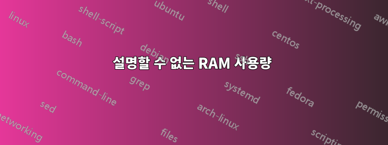 설명할 수 없는 RAM 사용량