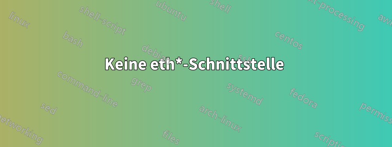 Keine eth*-Schnittstelle