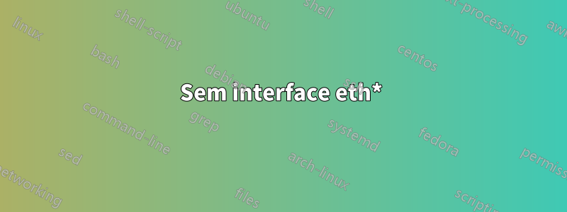 Sem interface eth*