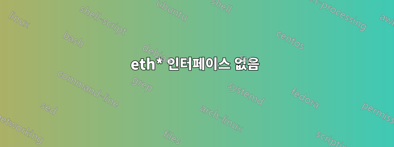 eth* 인터페이스 없음