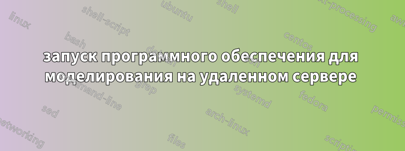 запуск программного обеспечения для моделирования на удаленном сервере