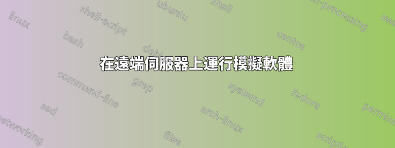 在遠端伺服器上運行模擬軟體