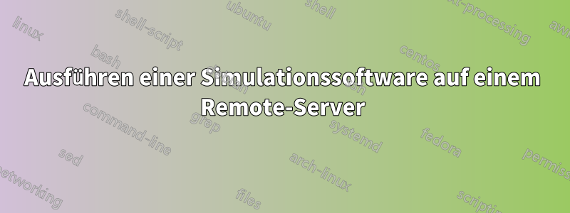 Ausführen einer Simulationssoftware auf einem Remote-Server