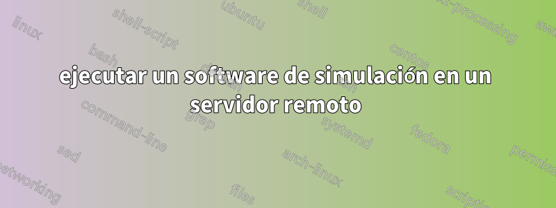 ejecutar un software de simulación en un servidor remoto