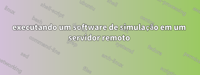executando um software de simulação em um servidor remoto
