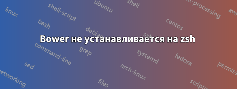 Bower не устанавливается на zsh