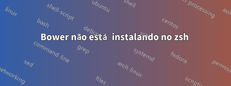 Bower não está instalando no zsh