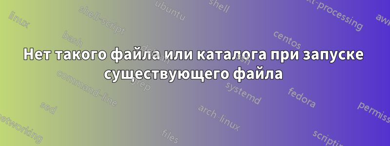 Нет такого файла или каталога при запуске существующего файла