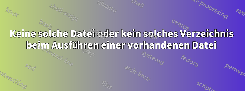 Keine solche Datei oder kein solches Verzeichnis beim Ausführen einer vorhandenen Datei