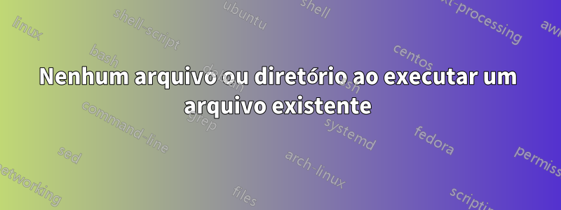 Nenhum arquivo ou diretório ao executar um arquivo existente