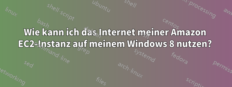 Wie kann ich das Internet meiner Amazon EC2-Instanz auf meinem Windows 8 nutzen?