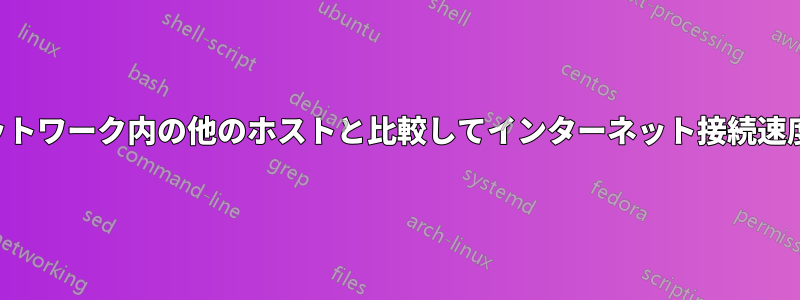 同じネットワーク内の他のホストと比較してインターネット接続速度が遅い