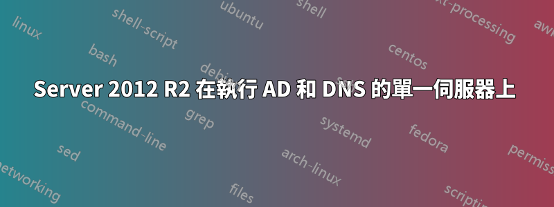 Server 2012 R2 在執行 AD 和 DNS 的單一伺服器上