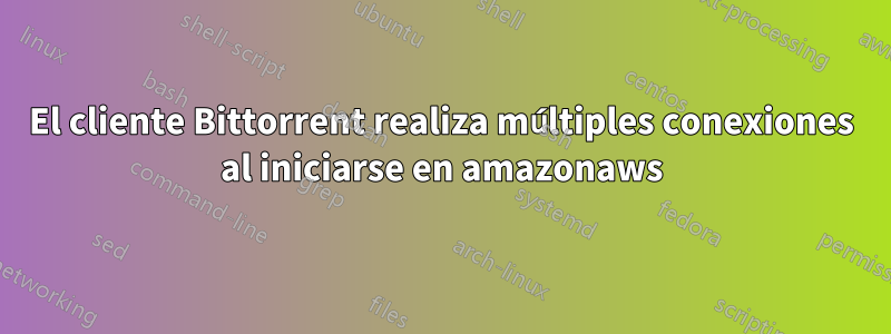 El cliente Bittorrent realiza múltiples conexiones al iniciarse en amazonaws