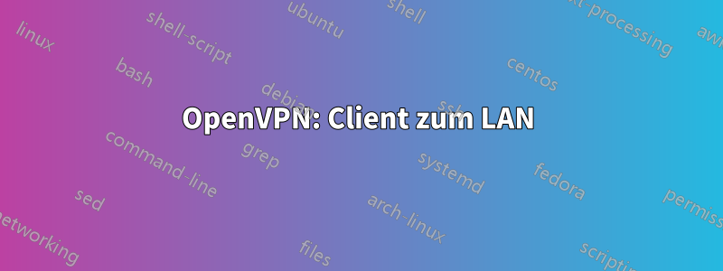 OpenVPN: Client zum LAN