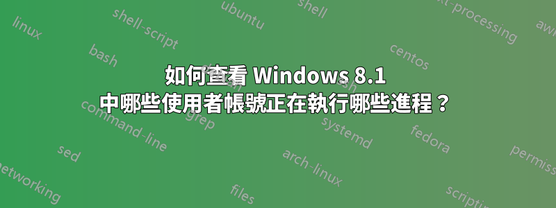 如何查看 Windows 8.1 中哪些使用者帳號正在執行哪些進程？