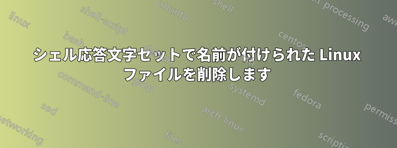 シェル応答文字セットで名前が付けられた Linux ファイルを削除します
