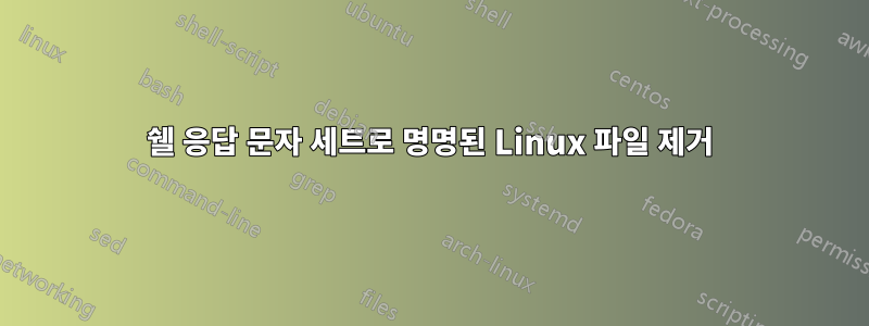 쉘 응답 문자 세트로 명명된 Linux 파일 제거