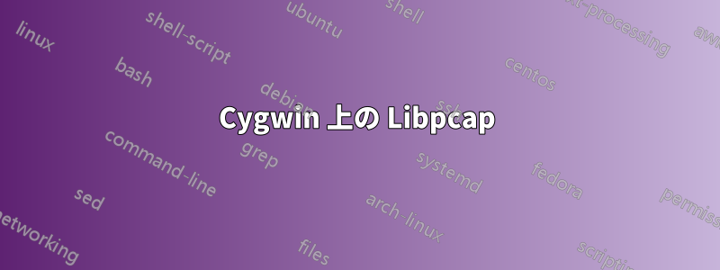 Cygwin 上の Libpcap