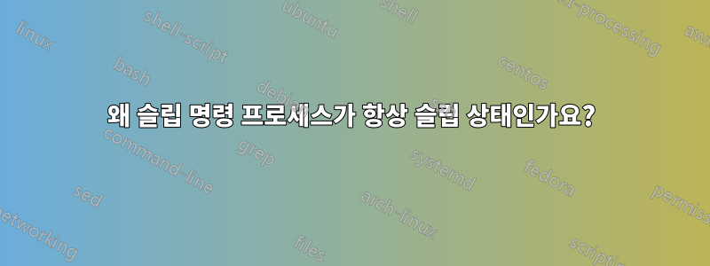 왜 슬립 명령 프로세스가 항상 슬립 상태인가요?