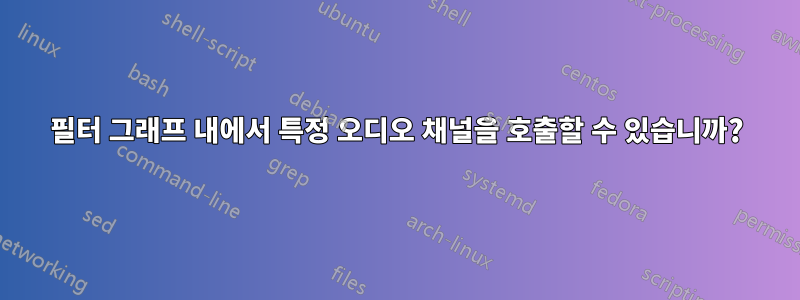 필터 그래프 내에서 특정 오디오 채널을 호출할 수 있습니까?