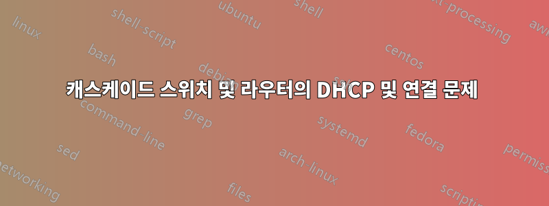 캐스케이드 스위치 및 라우터의 DHCP 및 연결 문제