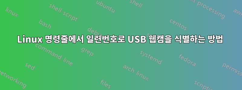 Linux 명령줄에서 일련번호로 USB 웹캠을 식별하는 방법