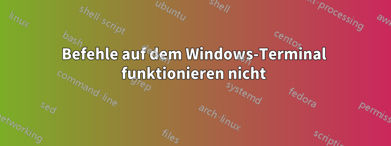 Befehle auf dem Windows-Terminal funktionieren nicht
