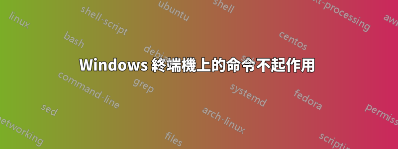 Windows 終端機上的命令不起作用