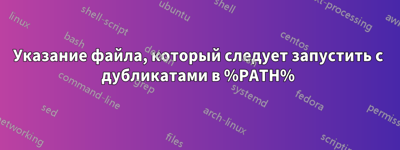 Указание файла, который следует запустить с дубликатами в %PATH%