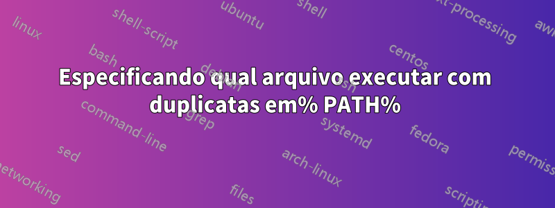 Especificando qual arquivo executar com duplicatas em% PATH%