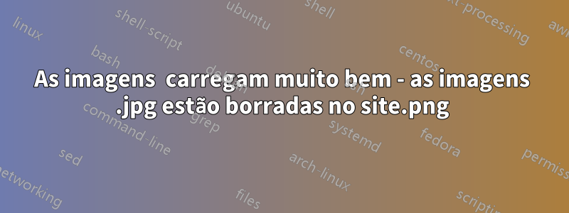 As imagens .png carregam muito bem - as imagens .jpg estão borradas no site