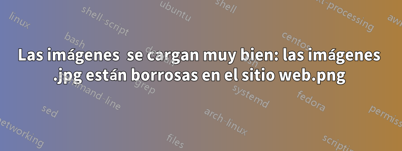 Las imágenes .png se cargan muy bien: las imágenes .jpg están borrosas en el sitio web