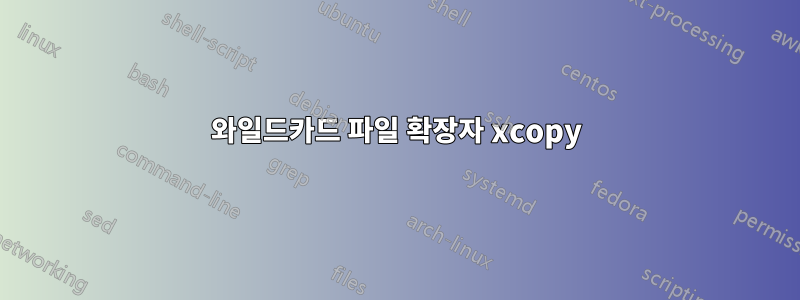 와일드카드 파일 확장자 xcopy