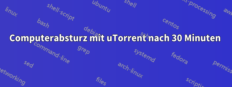 Computerabsturz mit uTorrent nach 30 Minuten