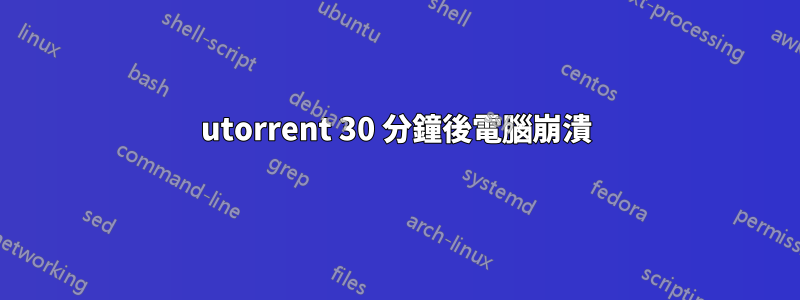 utorrent 30 分鐘後電腦崩潰