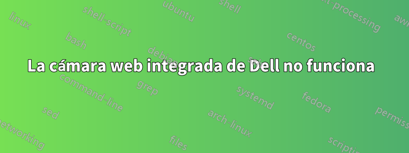 La cámara web integrada de Dell no funciona