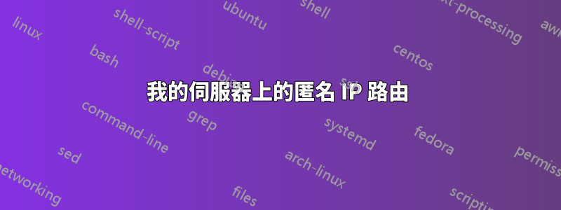 我的伺服器上的匿名 IP 路由